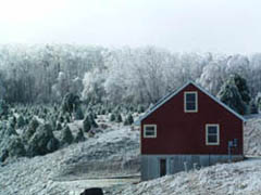 Snow storm at Hundredfold Farm