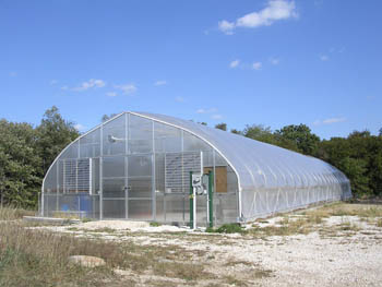 Greenhouse at Hundredfold Farm